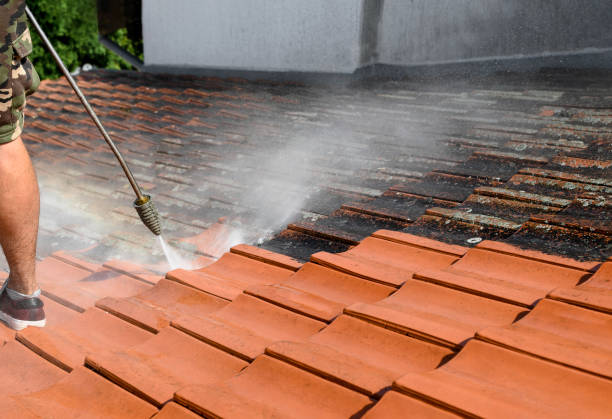 Best Pressure Washing Patio  in Cortland West, NY