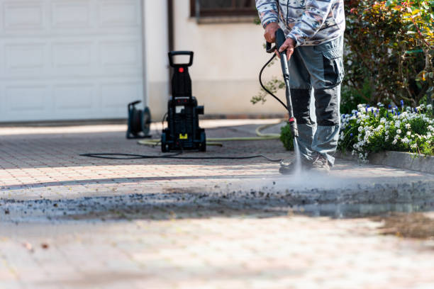 Roof Power Washing Services in Cortland West, NY