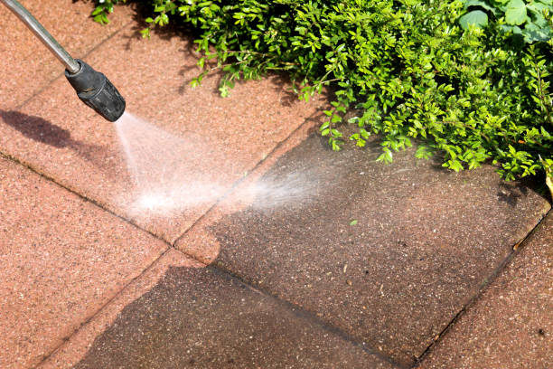 Trusted Cortland West, NY Pressure Washing Experts