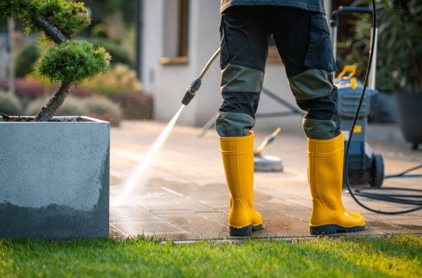 Best Power Washing Near Me  in Cortland West, NY